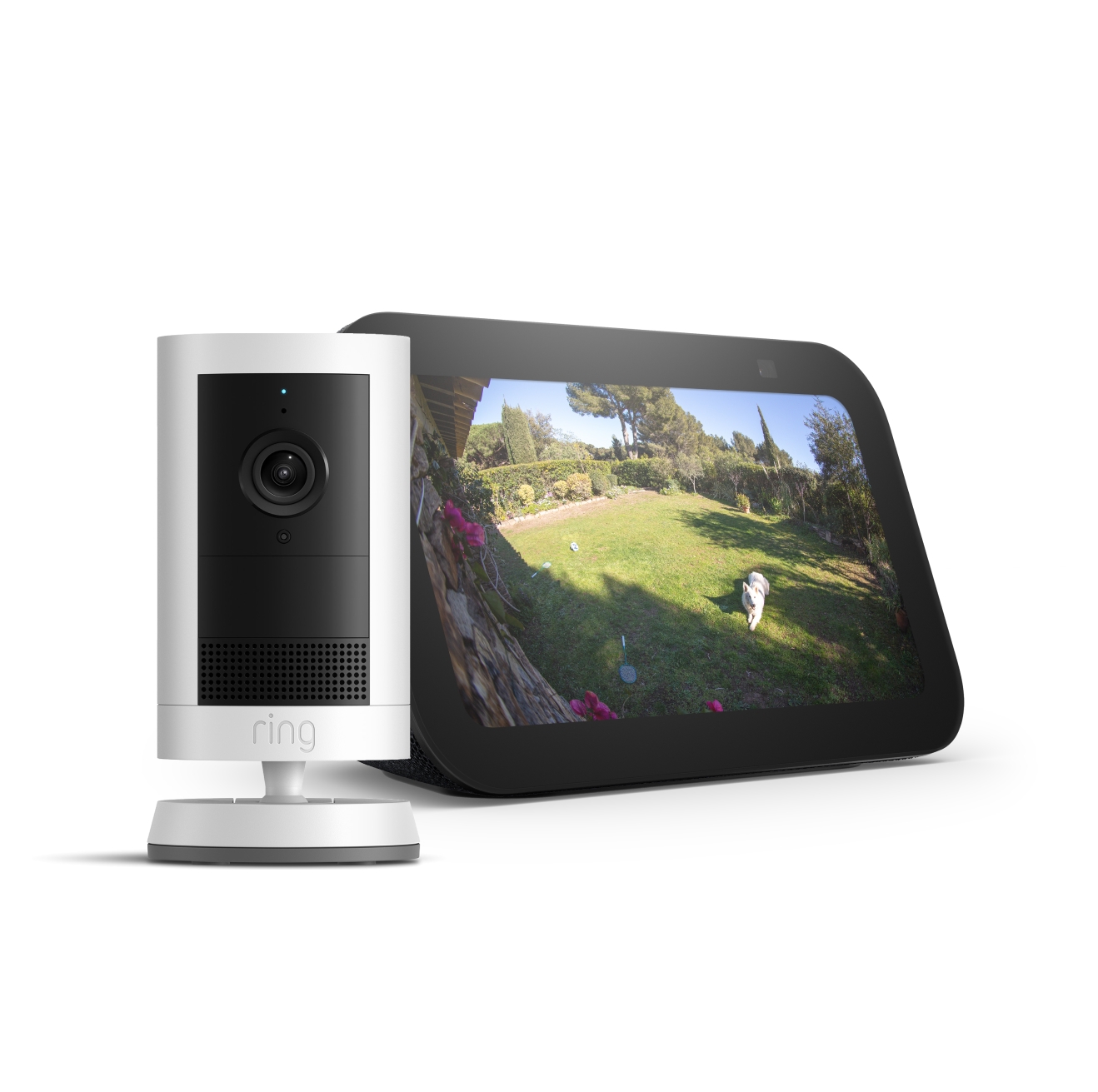 In an empty white background stands a Outdoor Camera Plus and an Echo Show. The image of a dog laying in a back garden is being shown on the screen of the Echo Show.